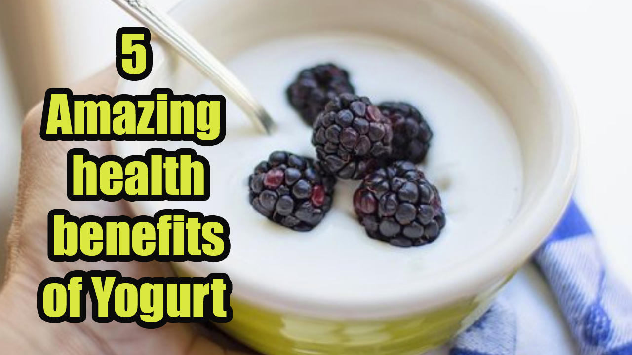 5 Amazing health benefits of yogurt Yogurt Health benefits Is
