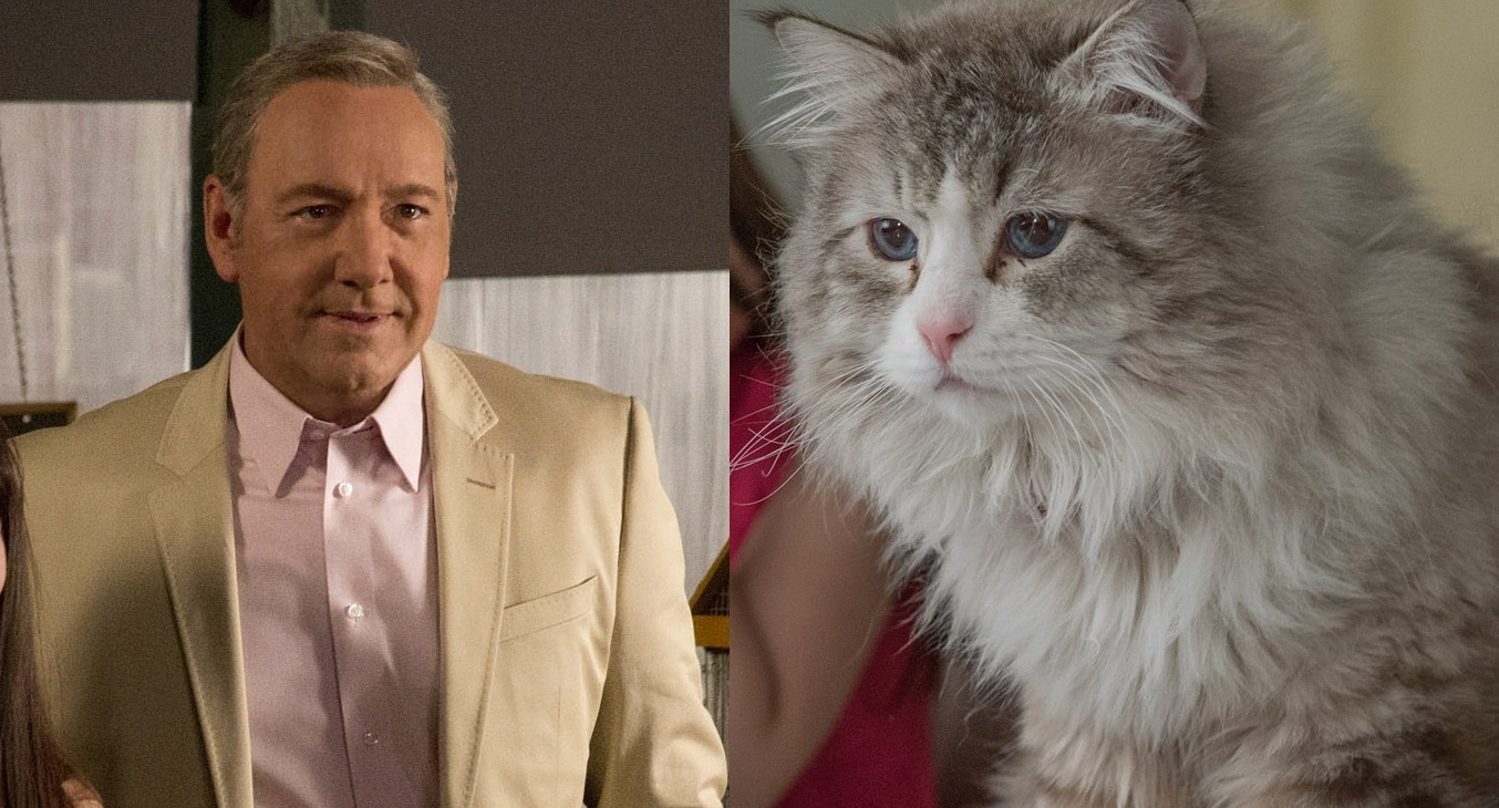 Kevin Spacey plays a cat in 'Nine Lives' - Film Geek Guy