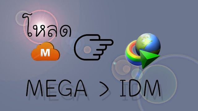 วิธีโหลดไฟล์จาก Mega ด้วยโปรแกรม IDM
