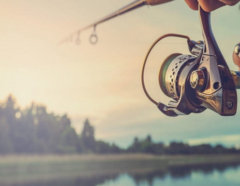 99 Arti Mimpi Mancing Kodok Menurut Primbon Islam Hindu Dan Kristen Kode Mimpi Mancing 99 Arti Mimpi Mancing Kodok Menurut Primbon Islam Hindu Dan Kristen Kode Mimpi Mancing