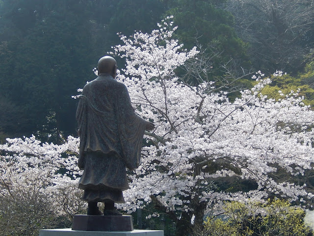 ���{���̍�