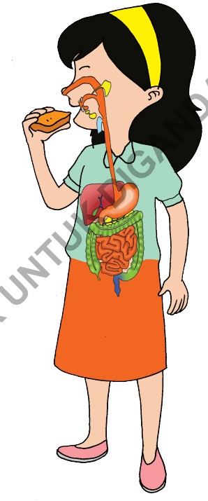 Rangkuman Tematik Kelas 5 Tema 3 Subtema 1 Makanan Sehat ...