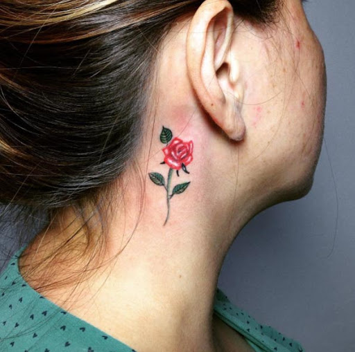 Esta rosa vermelha