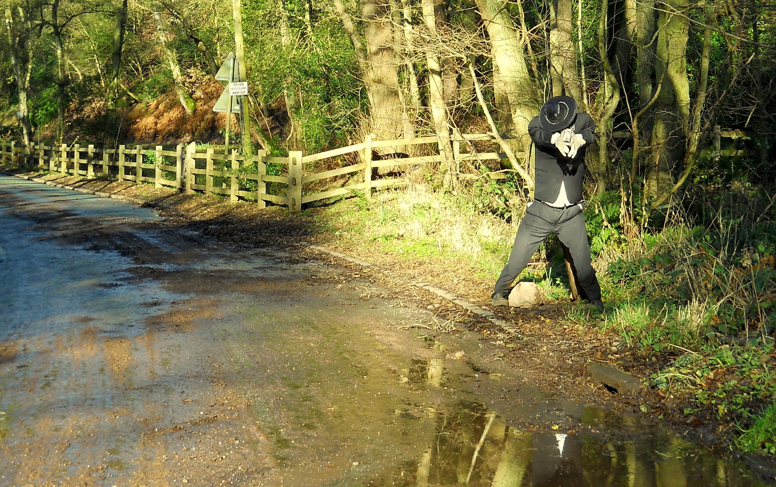 Staffordshire Photo: Bandit on the road