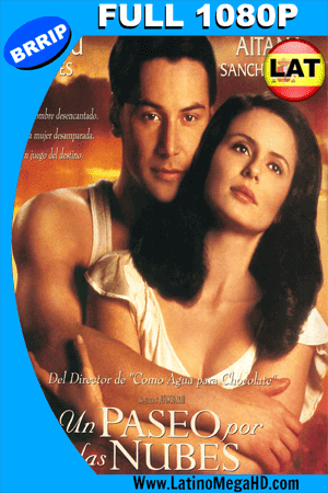 Un Paseo Por Las Nubes (1995) Latino Full HD 1080P (1995)