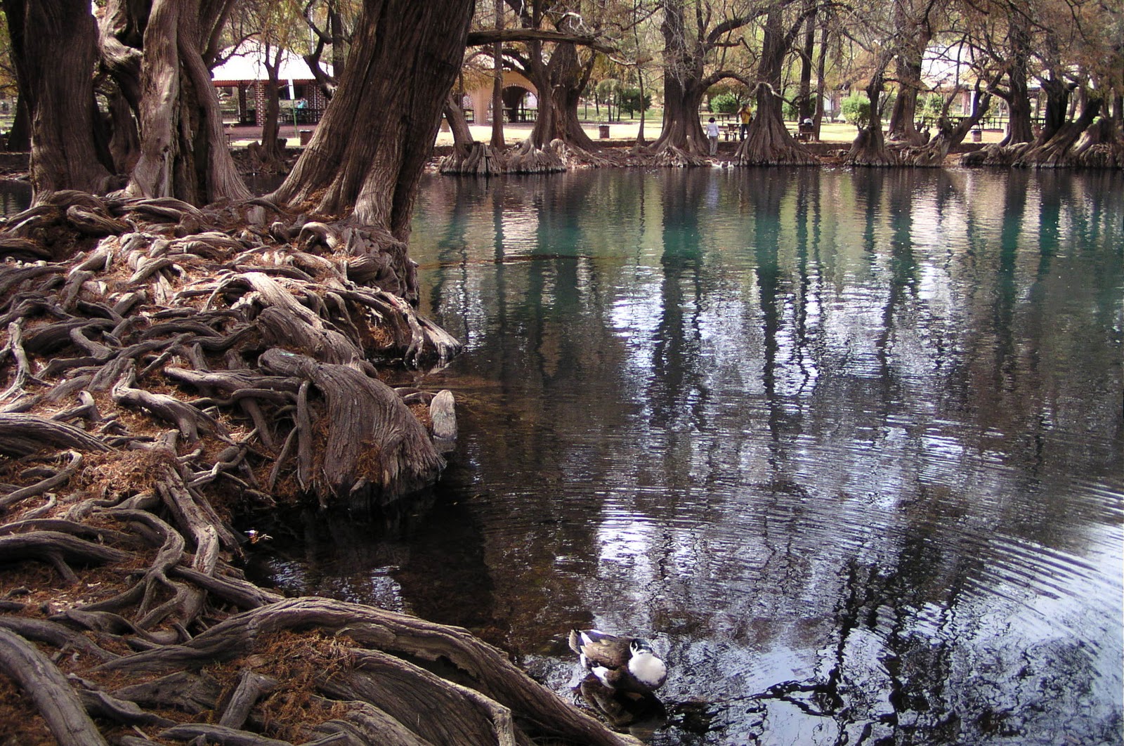 Travel with Kevin and Ruth The shore of Lake Patzcuaro