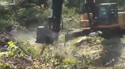 Απίστευτο...Δείτε πώς αυτό το μηχάνημα εξαφανίζει το δέντρο μέσα σε μερικά δευτερόλεπτα (video)