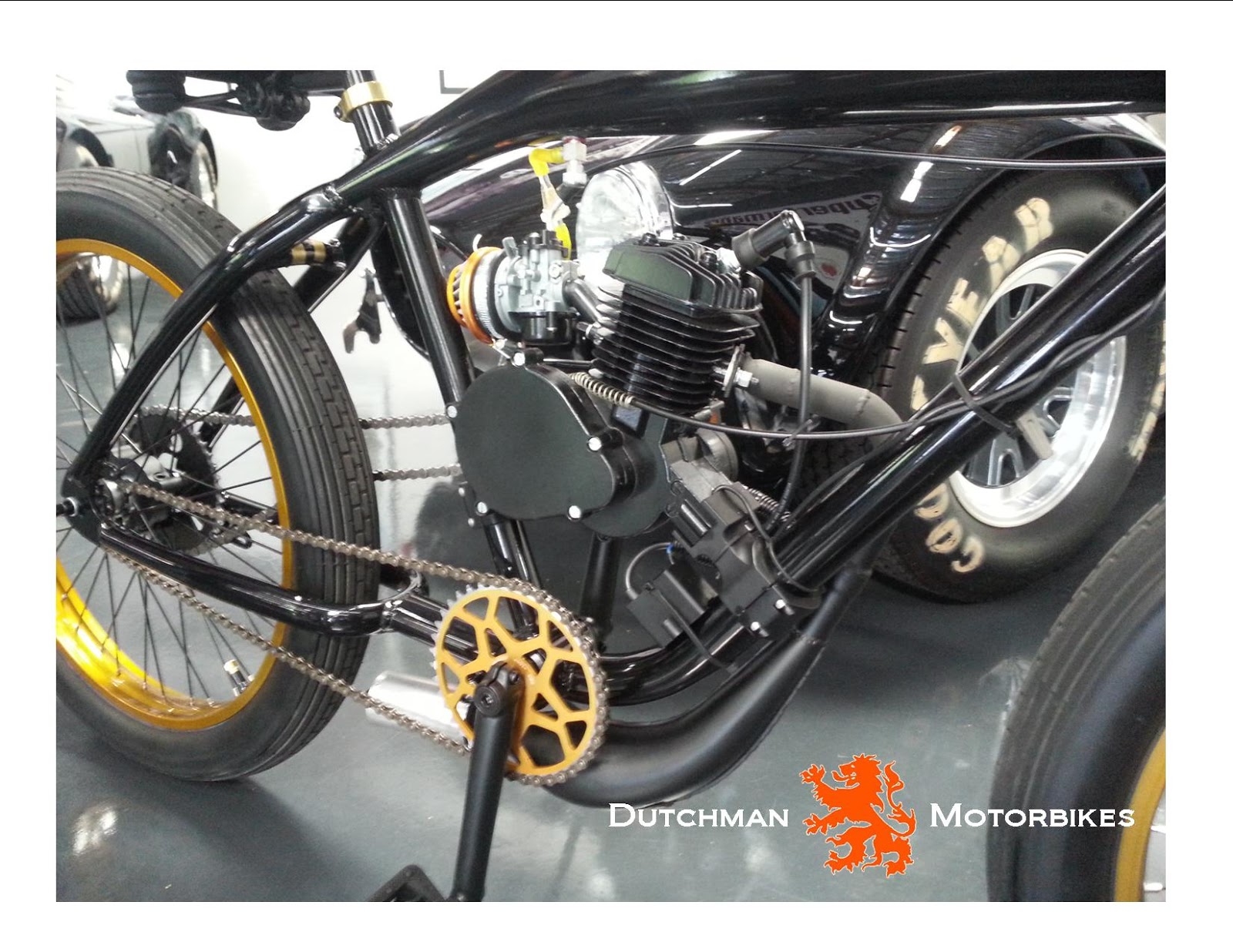 cobra paint for bike