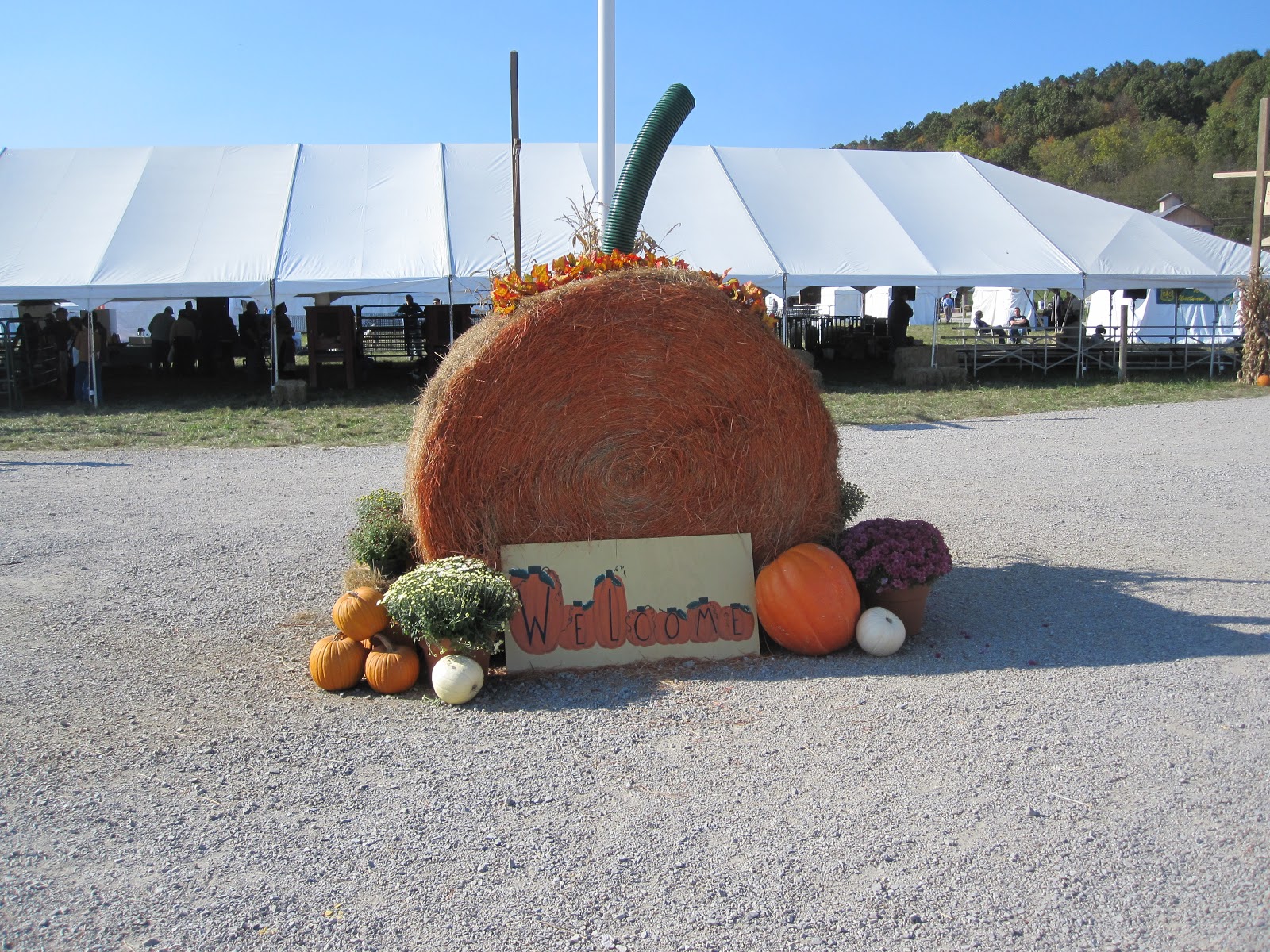 Racine Family Man: Bob Evans Farm Festival