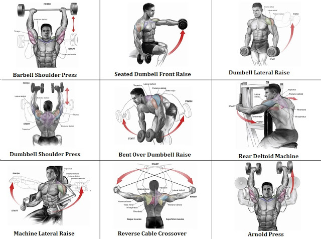 get ripped at home shoulder workout health articles shoulder workout chart hd