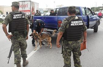 Mega-operativo policiaco en Cancún: Federales, Militares, Judiciales, Perros y 15 Unidades pasan báscula a miles de vehículos