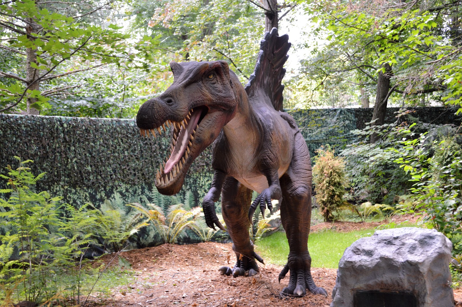 Une journée au Zoo de Granby