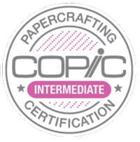 Copic Intermediate Certification