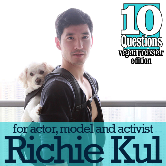 The Vegan Street Blog from the Vegan Feminist Agitator 10 Questions