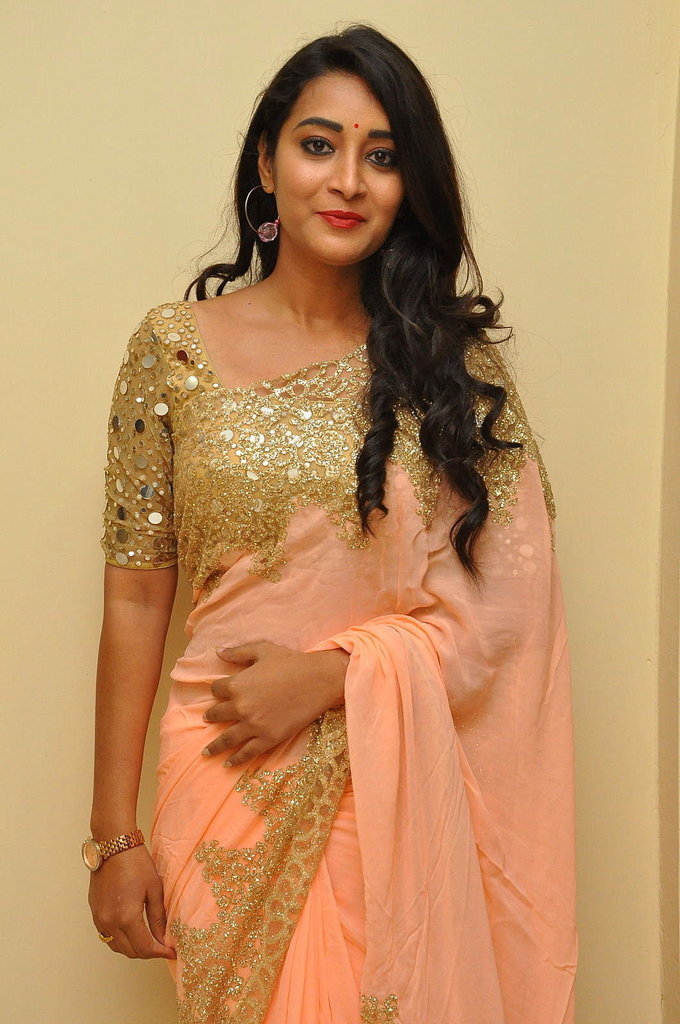 Telugu Actress Bhanu Sri At Kalamandir Anniversary In Pink Saree