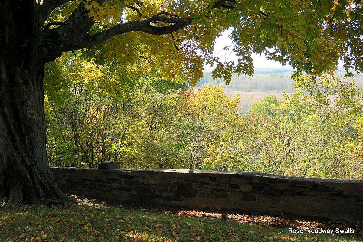 Time Stand Still, a photo blog: The view from Merom Bluff