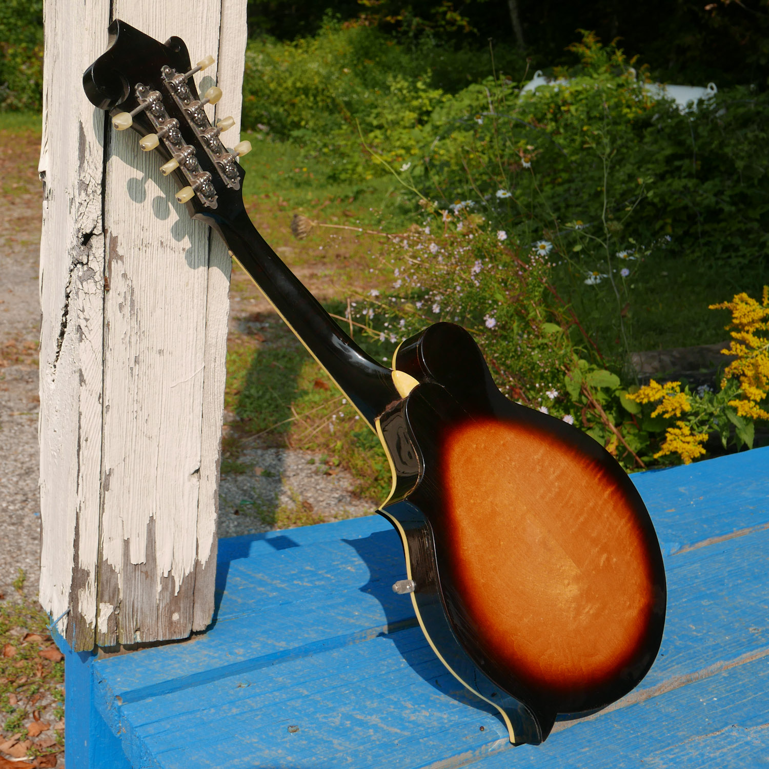 1964 Gibson A12 CarvedTop Mandolin