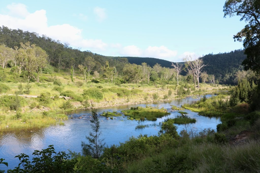 National Park Odyssey Emu Creek Camping Area, Benarkin State Forest, QLD.