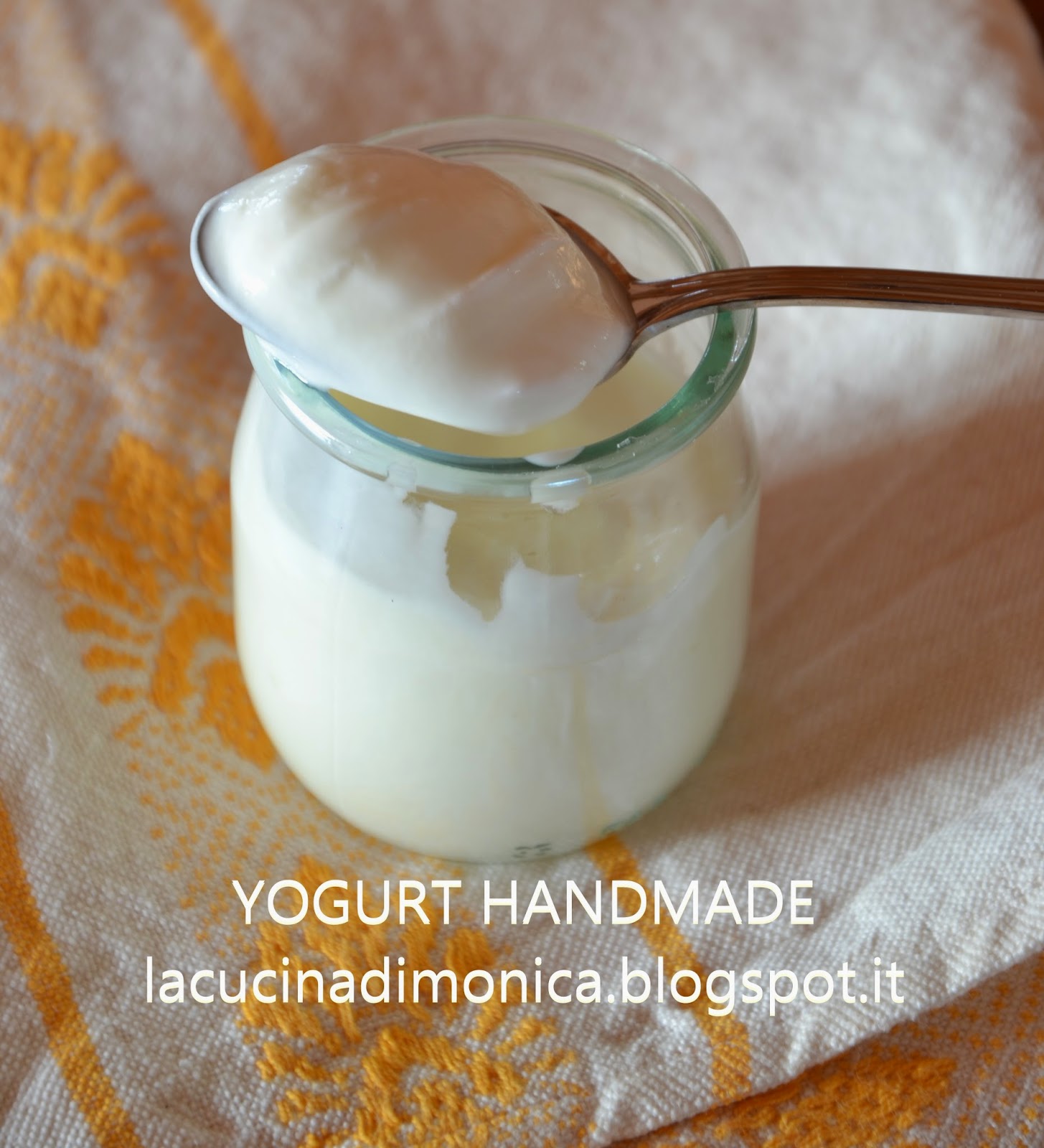 yogurt casalingo - yogurt handmade