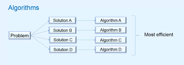 what is algorithm and data structure