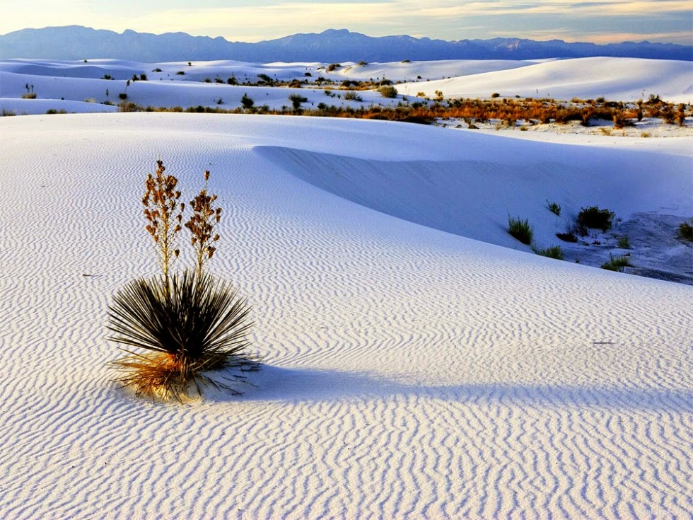 White Sands the Largest Gypsum Desert in the World, USA