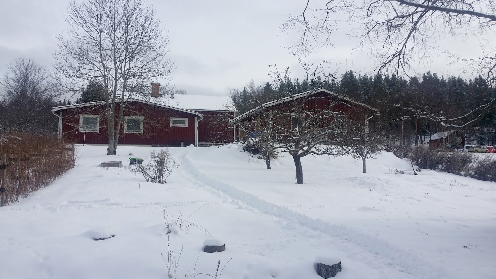 Linnea Pa Landet 2017