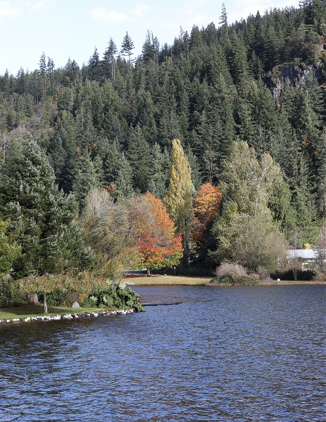 Powell River in Photos Cranberry Lake Views Take One