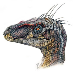 11-Velociraptor-Jurassic-Park-Julianna-www-designstack-co