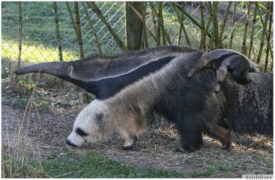 Jangan Mudah Terpedaya Apa Yang Anda Lihat Ini