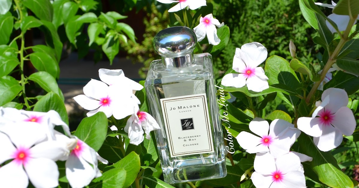 Jo Malone London Blackberry & Bay Cologne, Review | Color Me Loud