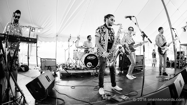 Love Wagon at Riverfest Elora 2018 at Bissell Park on August 18, 2018 Photo by John Ordean at One In Ten Words oneintenwords.com toronto indie alternative live music blog concert photography pictures photos