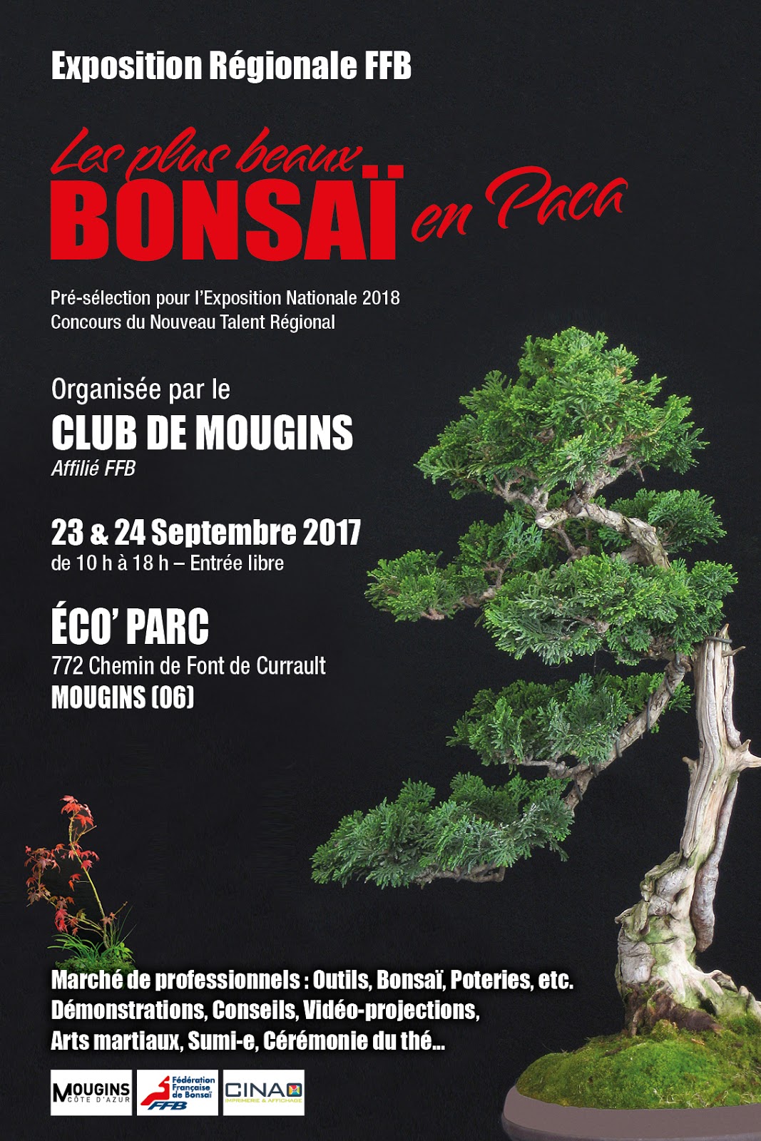 Esprit Bonsaï [Expo Régionale FFB] Les plus beaux Bonsaï en PACA 23