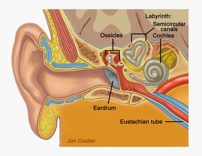 Meniere’s Disease Dream Health