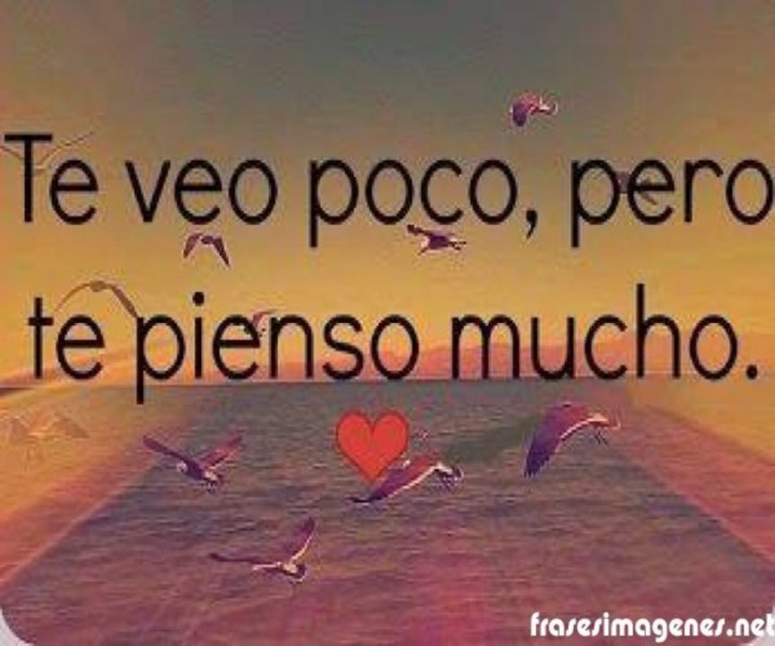 Frases Para Enamorar A Un Chico