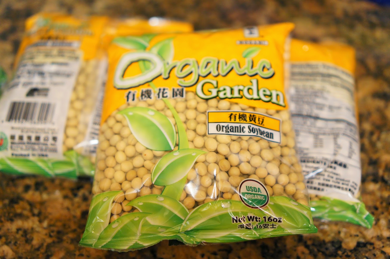 Day in the Life of a Hungry Food Explorer Chinese Soy Milk Recipe