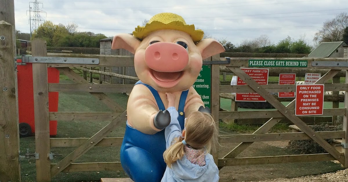 Review Lockey Farm Park Our Cherry Tree