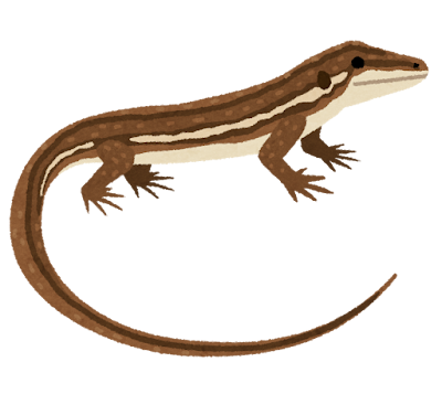 ã«ãããã®ã¤ã©ã¹ã