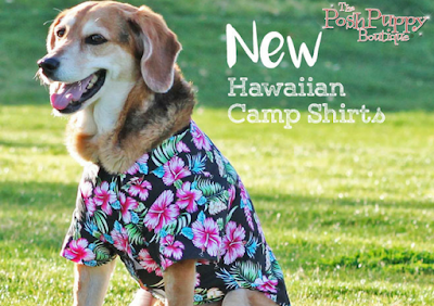 Designer Dog Clothes