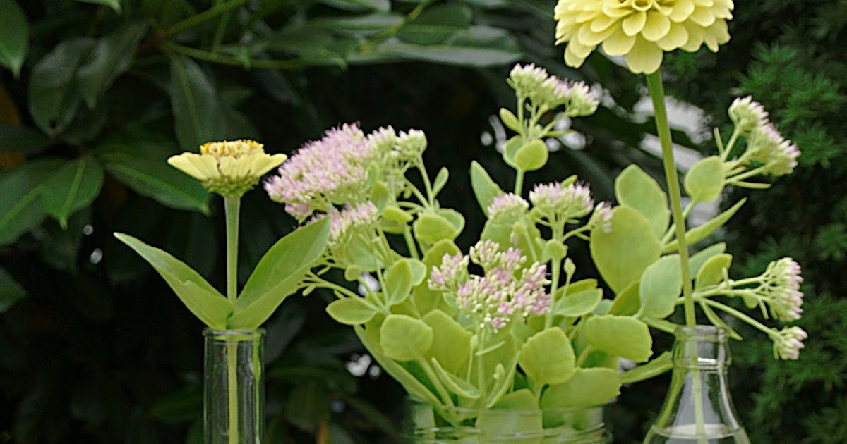 mea culina: Zucchini-Kaviar: Oder Crème? Oder Dip?