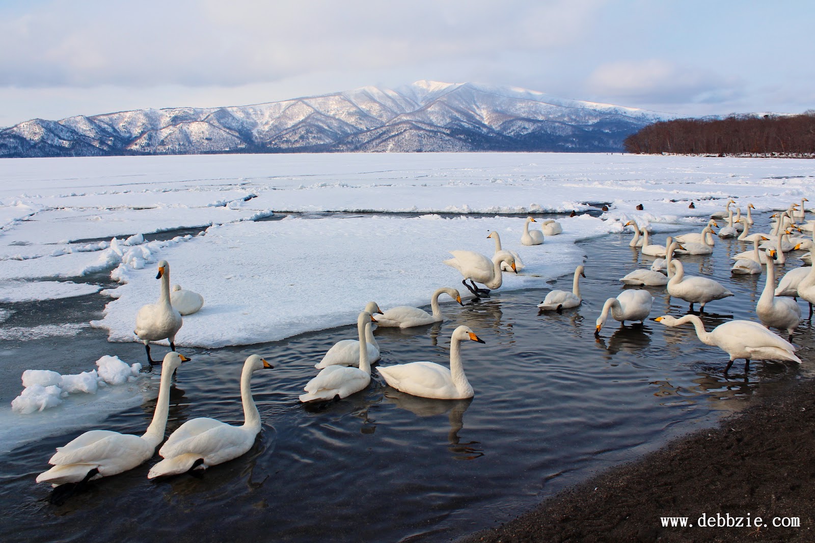 Hokkaido: Akan National Park