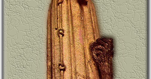 Santidad Ecuador Fray Jodoco Ricke y Marselaer, Religioso Franciscano