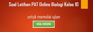Soal Latihan PAT Biologi Online Kelas 10 Tahun 2019