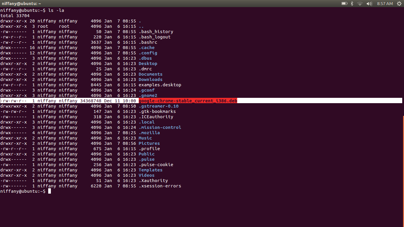 sudo apt-get installer chrome ubuntu