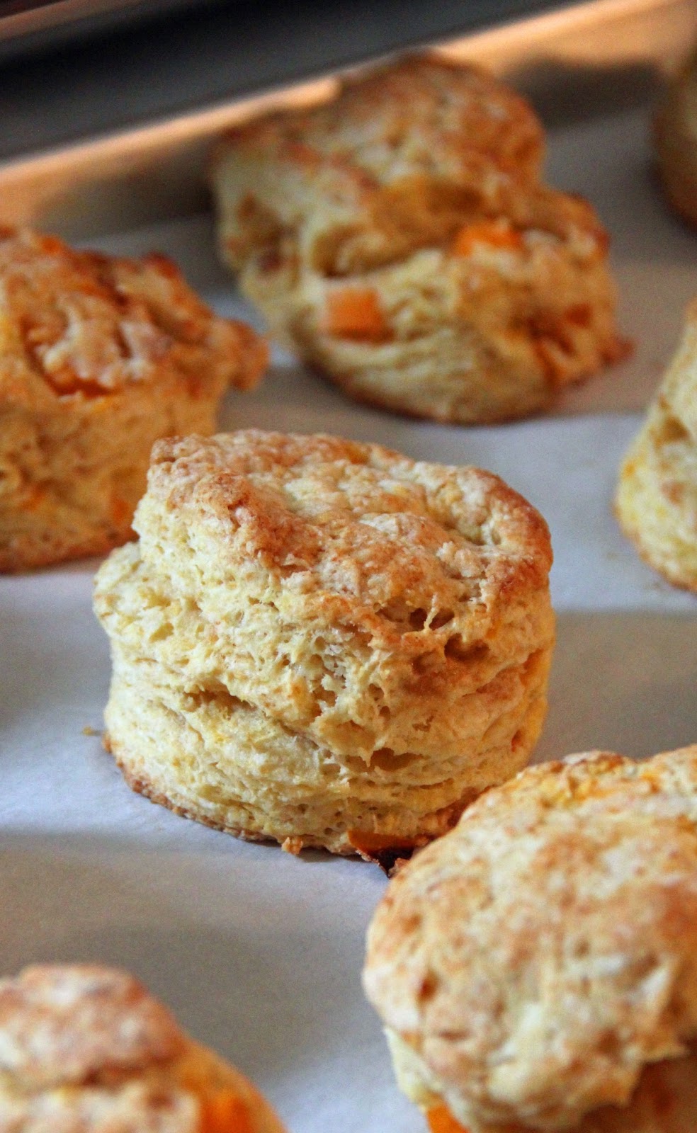 Jo and Sue Apricot Scones with Apricot Honey Butter