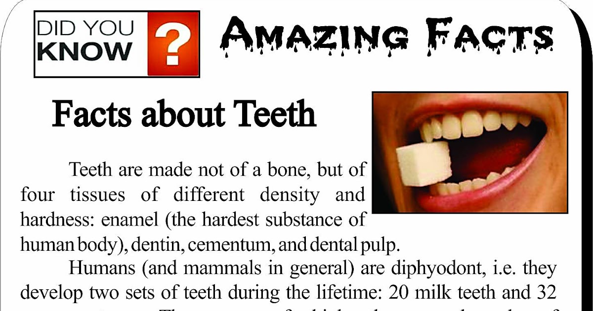 Salamevatan: Facts about Teeth
