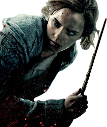 harry potter hermione granger render renders
