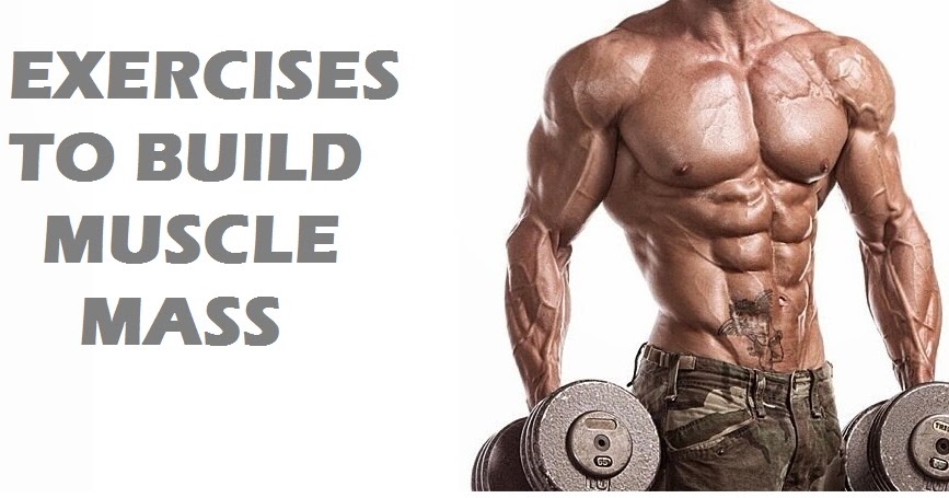 fitnex-pro-5-exercises-to-build-muscle-mass-fast