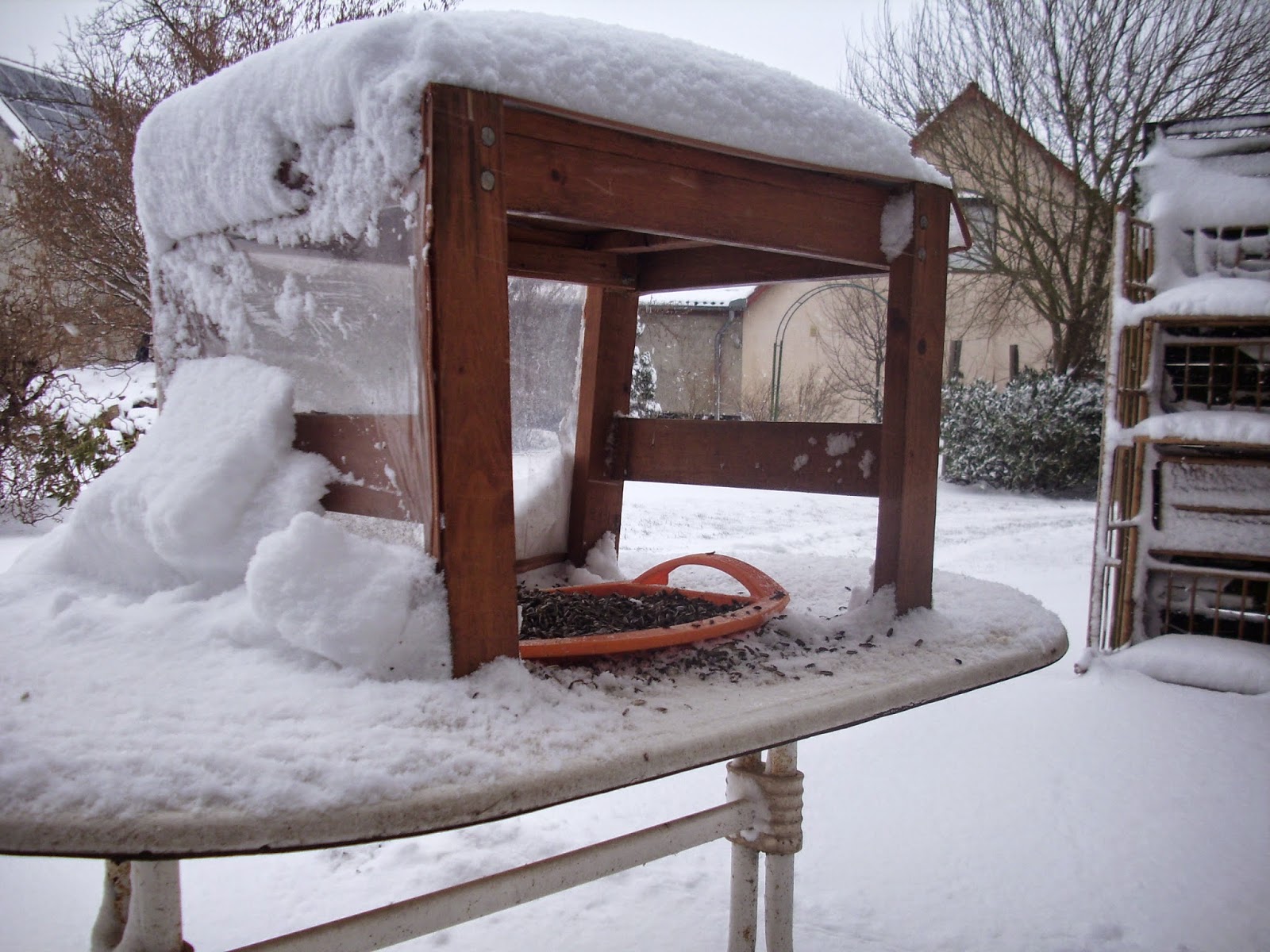 KIM BARKMANN SCHREIBT: Ein Hund kam zur Hintertür herein