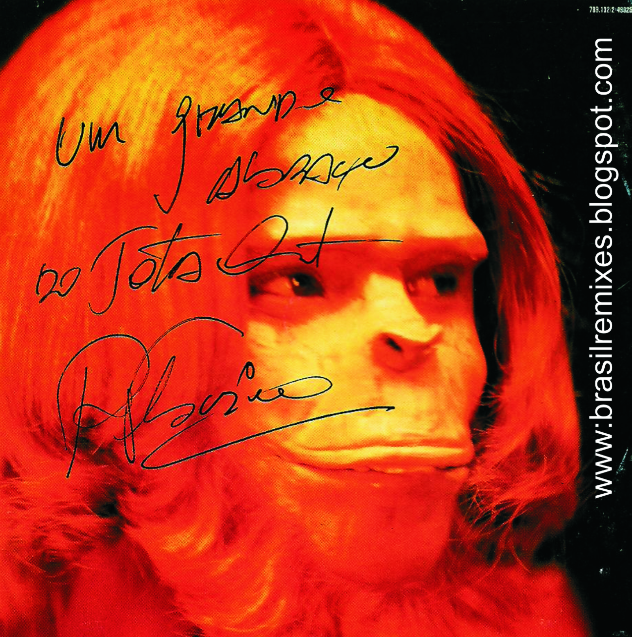 Brasil Remixes Jota Quest De Volta ao dos Macacos (single remix promocional) Brasil Remixes Jota Quest De Volta ao dos Macacos (single remix promocional)
