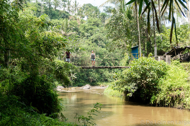 Vallée de la Sungaï Ayung - Ubud - Bali